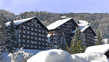 Dachstein Alpenhotel