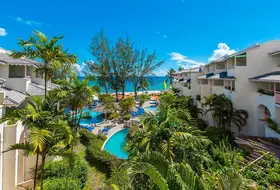 Bougainvillea Barbados