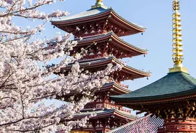 Japonia - w krainie gejsz i samurajów