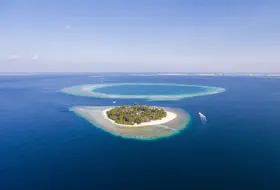 Malahini Kuda Bandos