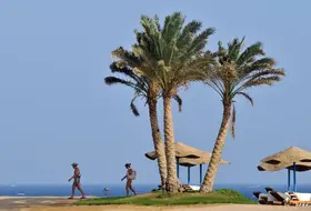 Sol Y Mar Reef Marsa Alam